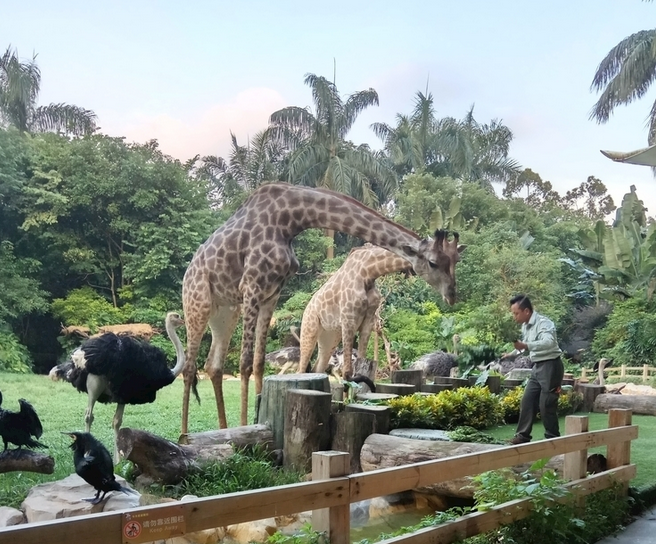 珠海長隆野生動物園N.jpg